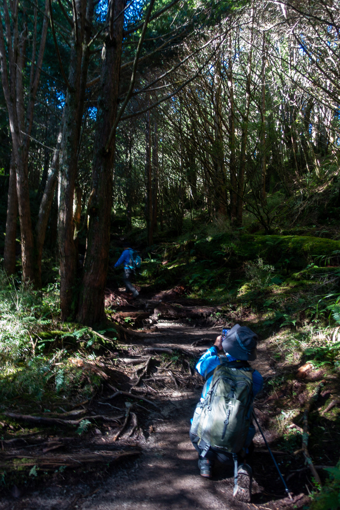 DSC08979.jpg DSC08979.jpg