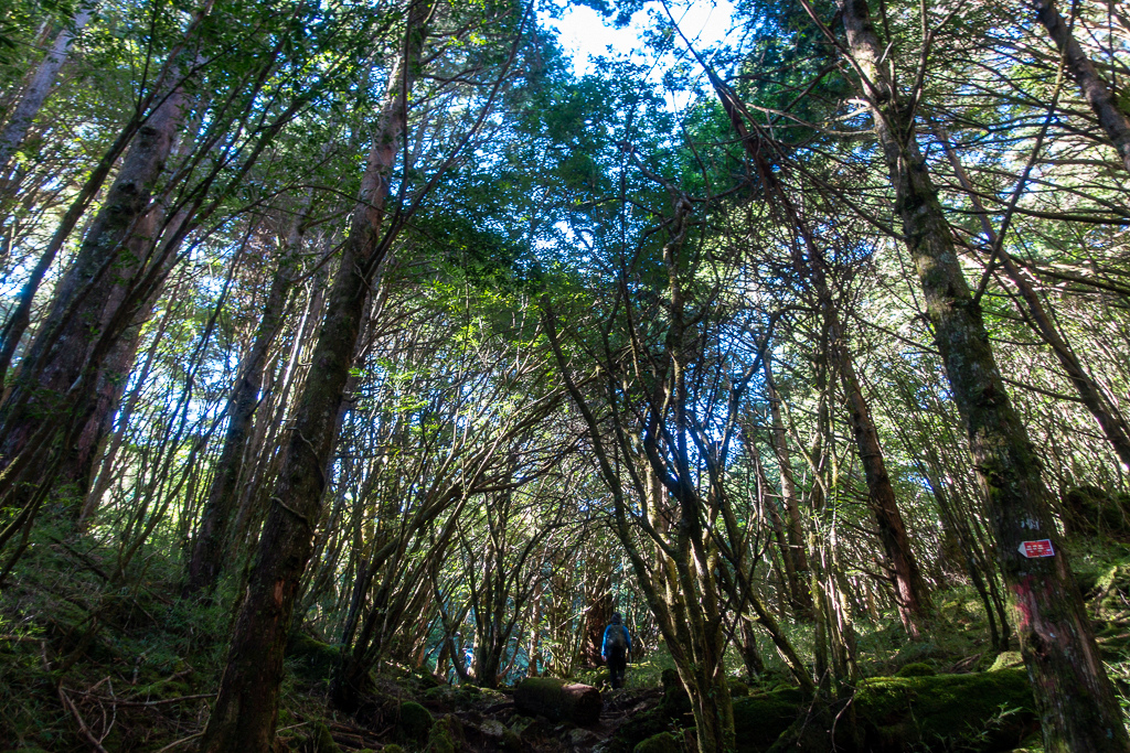 DSC08985.jpg DSC08985.jpg