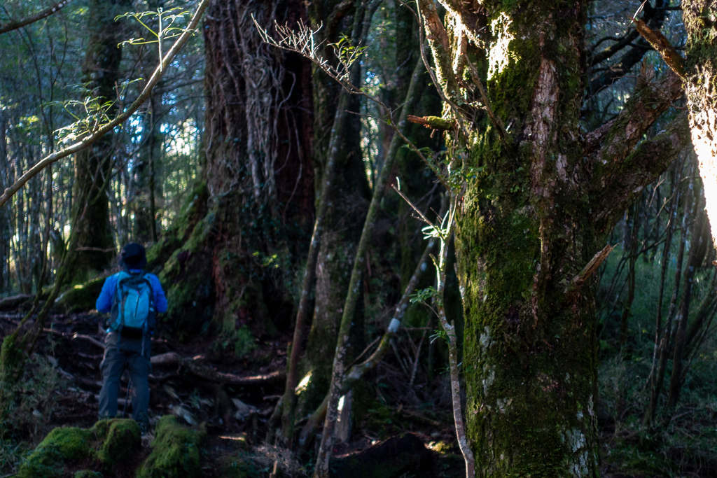 DSC08989.jpg DSC08989.jpg