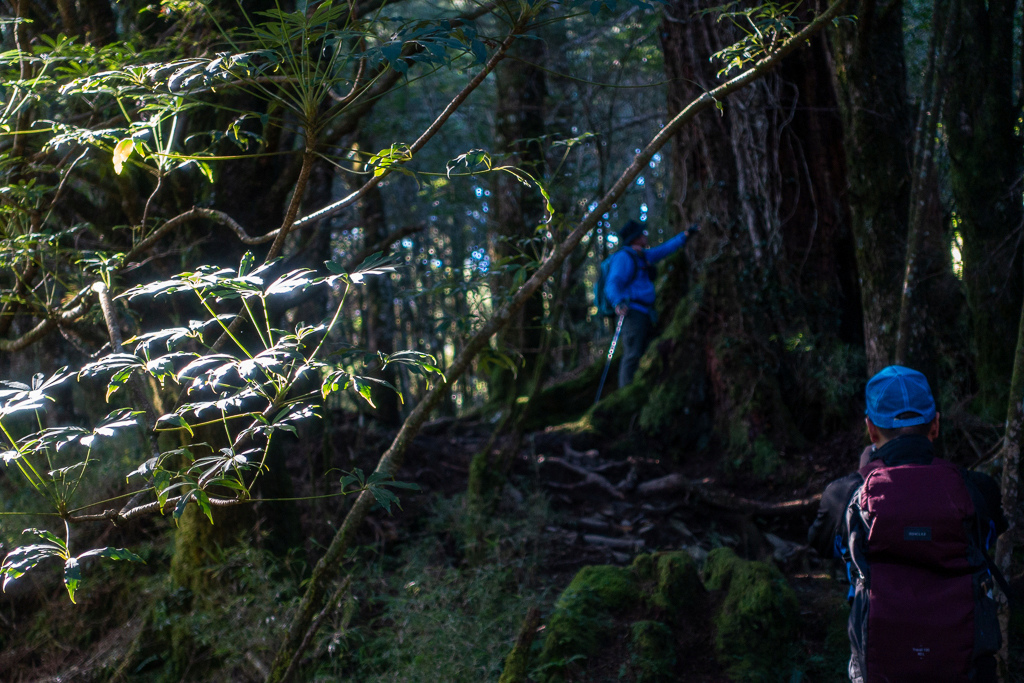 DSC08990.jpg DSC08990.jpg