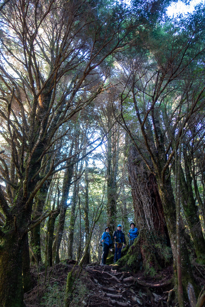 DSC08991.jpg DSC08991.jpg