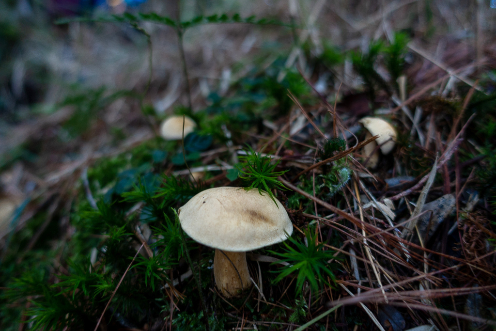 DSC08994.jpg DSC08994.jpg