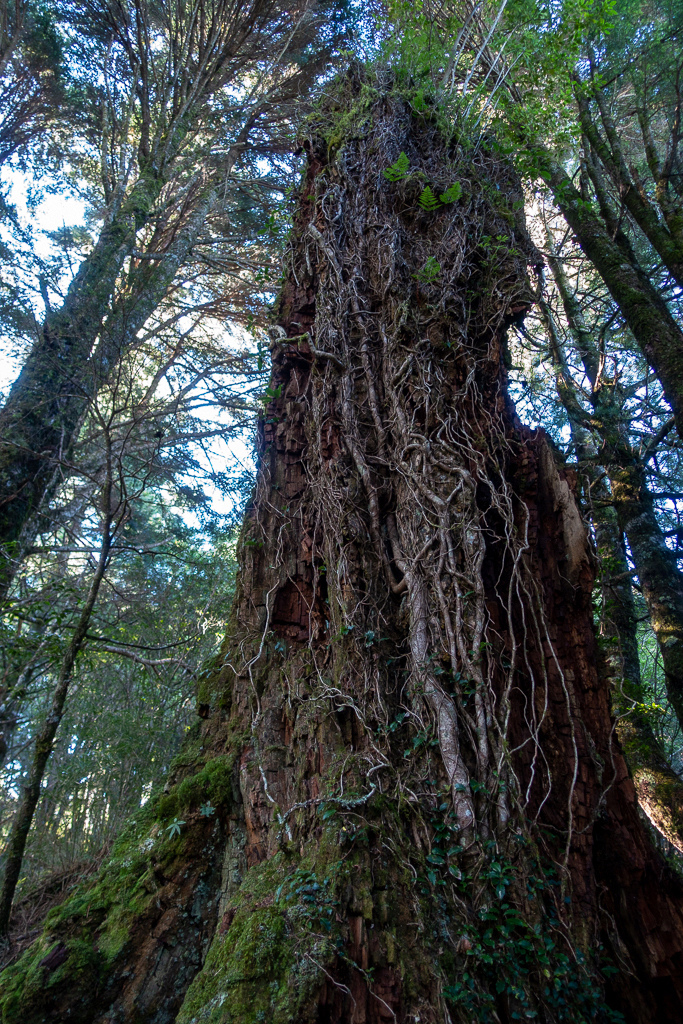 DSC08993.jpg DSC08993.jpg