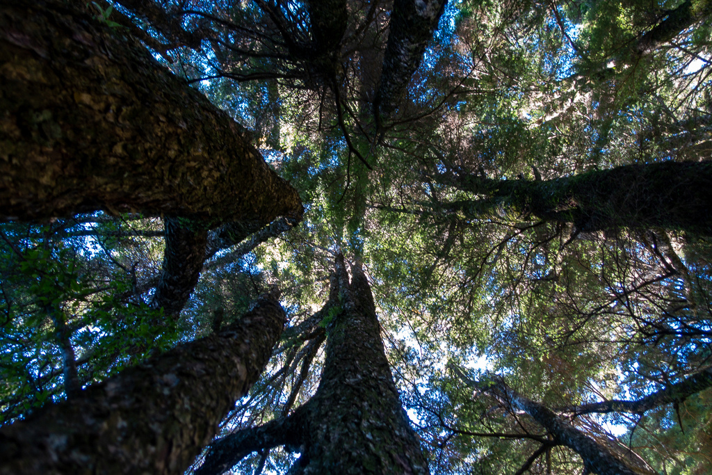 DSC08996.jpg DSC08996.jpg