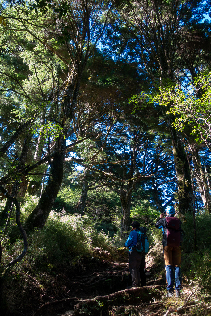 DSC09000.jpg DSC09000.jpg