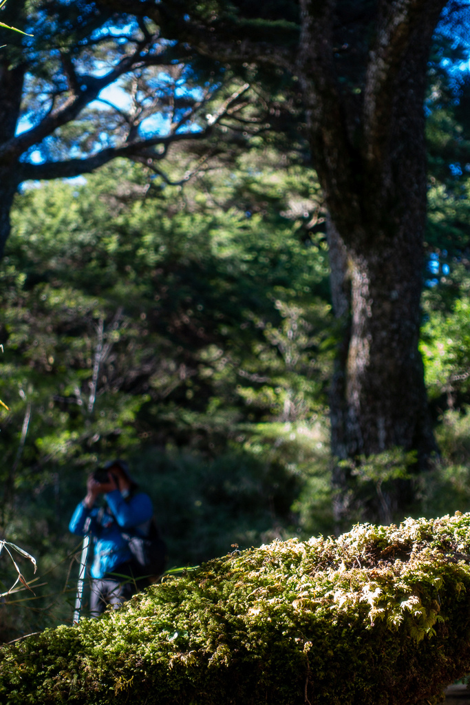 DSC09003.jpg DSC09003.jpg