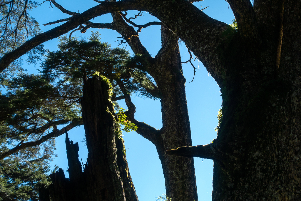 DSC09006.jpg DSC09006.jpg