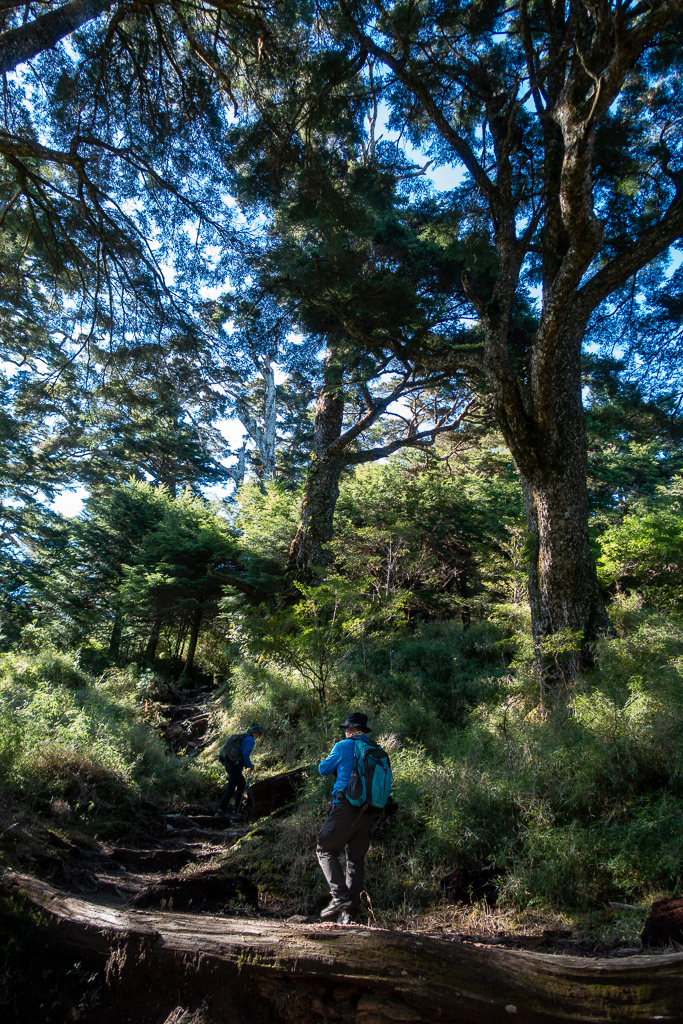 DSC09004.jpg DSC09004.jpg