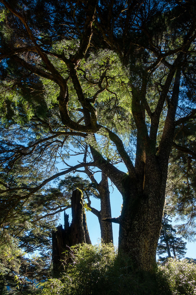 DSC09007.jpg DSC09007.jpg