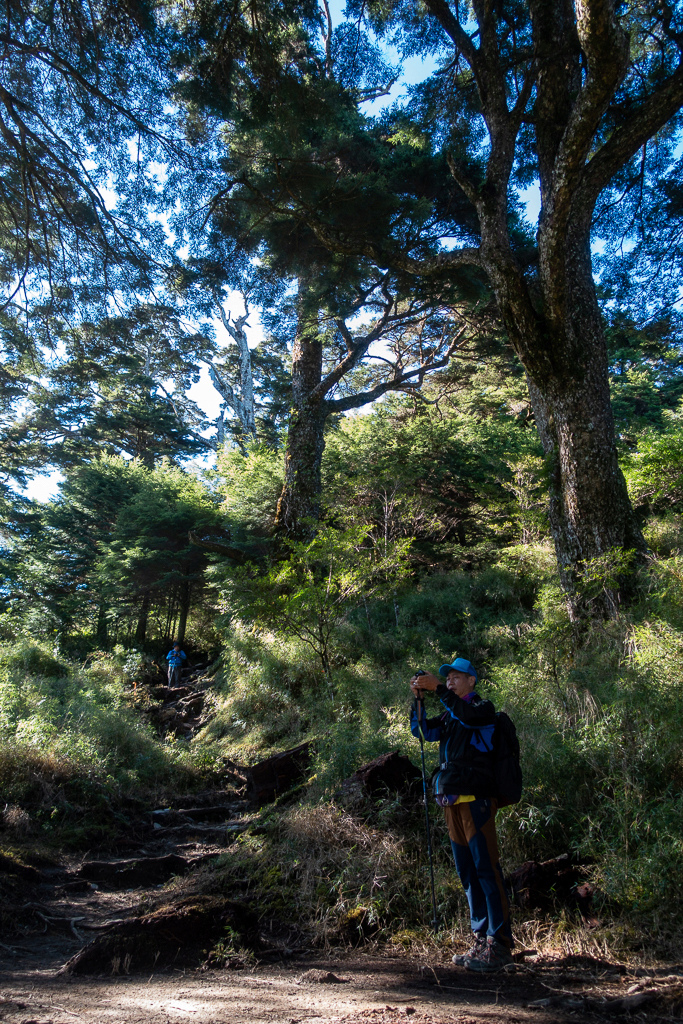 DSC09008.jpg DSC09008.jpg