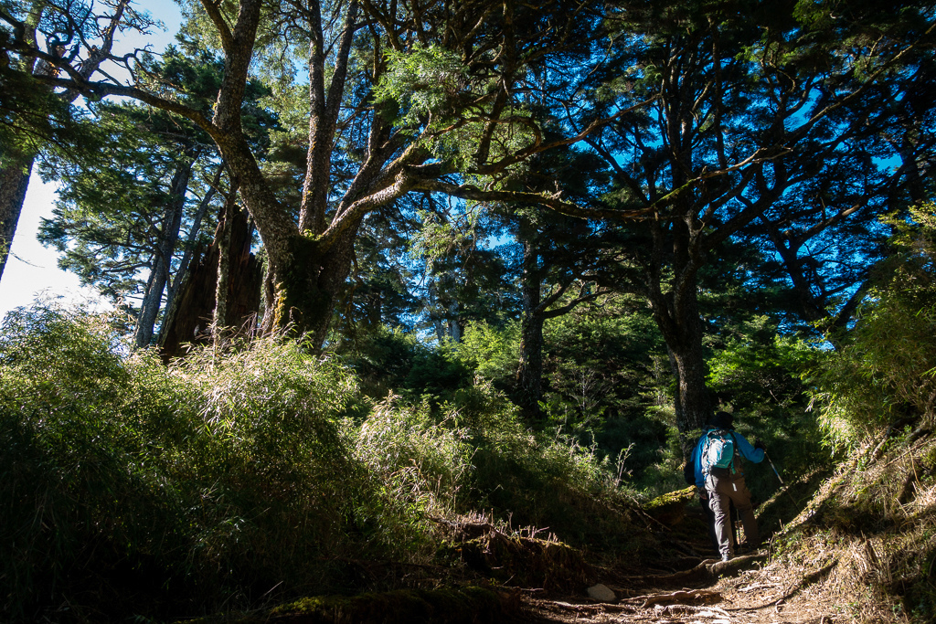 DSC09001.jpg DSC09001.jpg