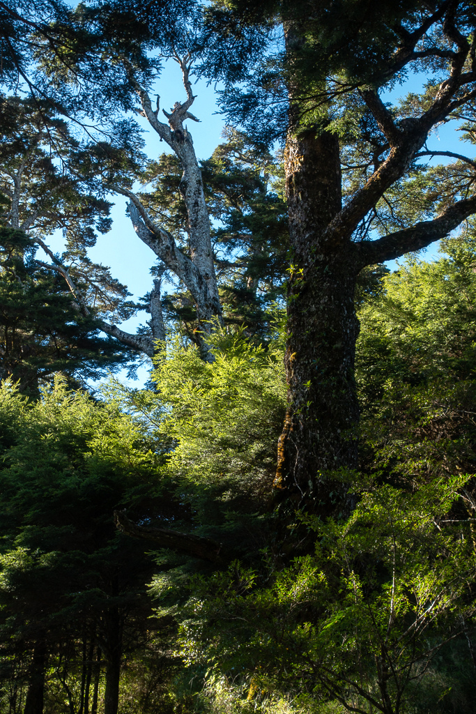 DSC09010.jpg DSC09010.jpg