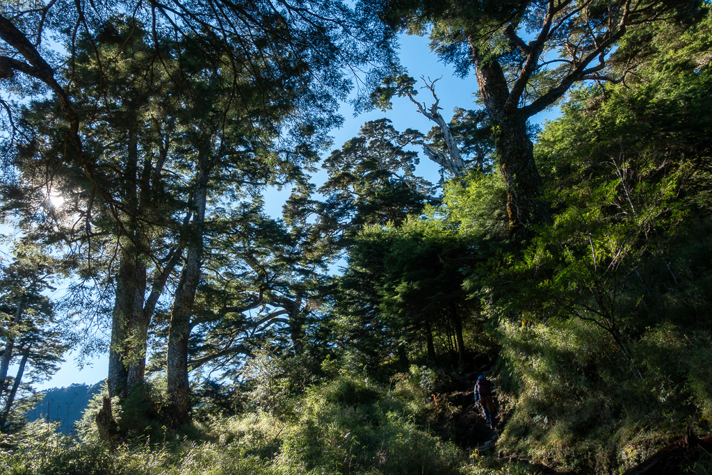 DSC09011.jpg DSC09011.jpg