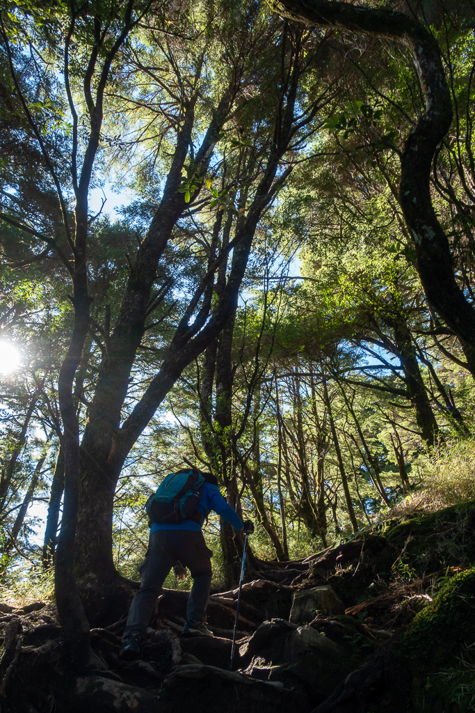 DSC09015.jpg DSC09015.jpg