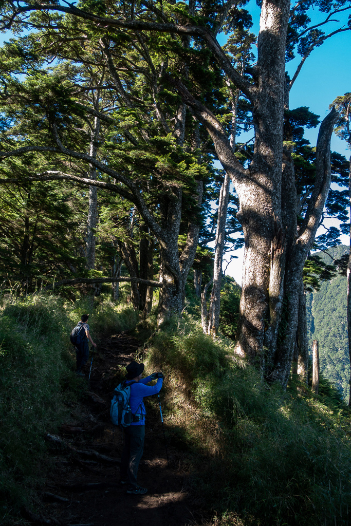 DSC09023.jpg DSC09023.jpg