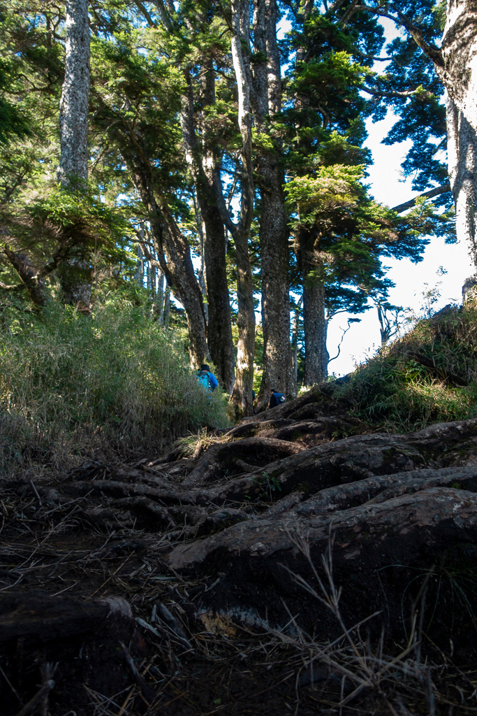 DSC09027.jpg DSC09027.jpg