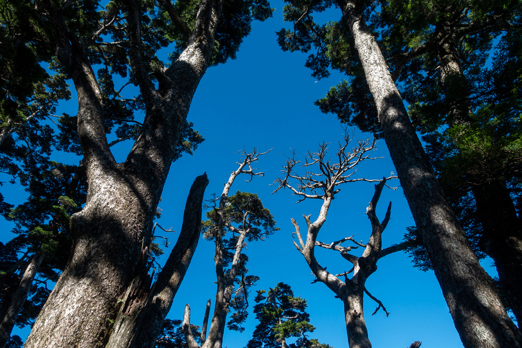 DSC09024.jpg DSC09024.jpg