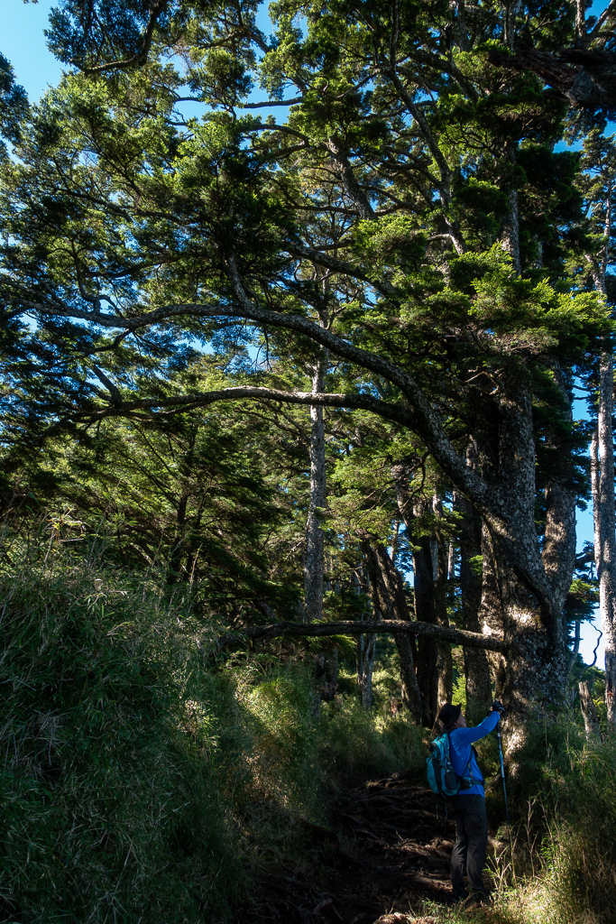 DSC09026.jpg DSC09026.jpg