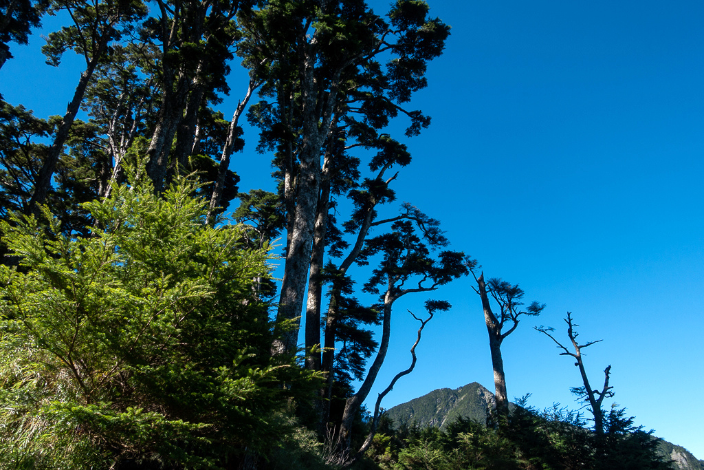 DSC09031.jpg DSC09031.jpg