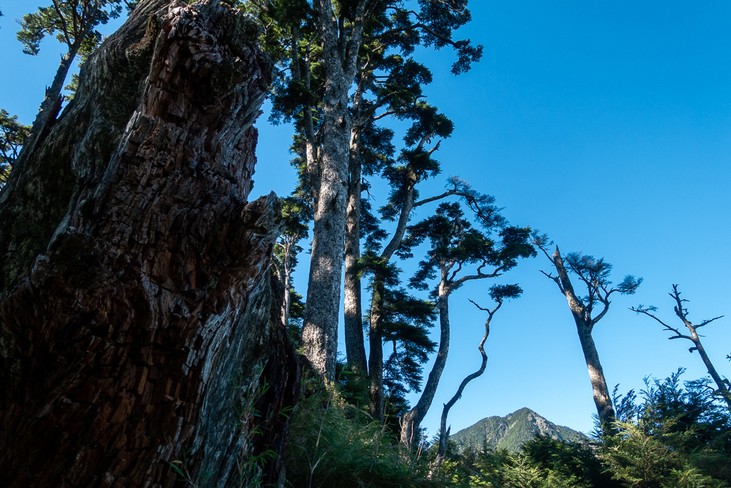 DSC09033.jpg DSC09033.jpg