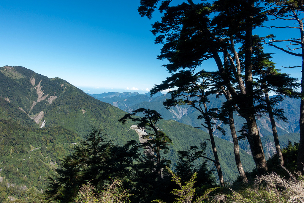 DSC09032.jpg DSC09032.jpg