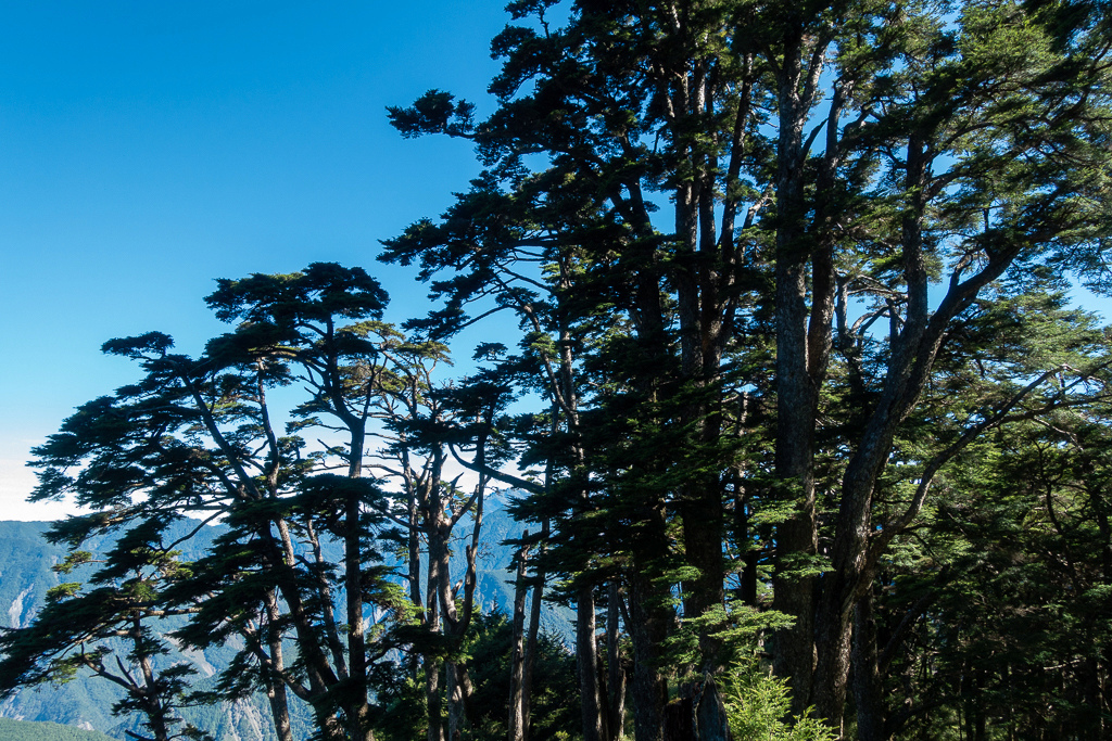 DSC09034.jpg DSC09034.jpg