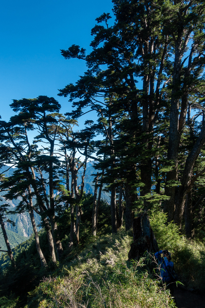 DSC09035.jpg DSC09035.jpg