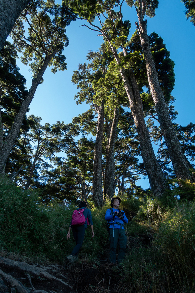 DSC09037.jpg DSC09037.jpg