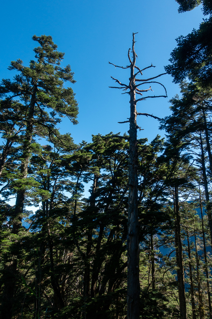 DSC09040.jpg DSC09040.jpg