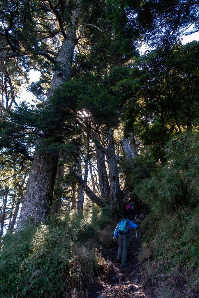 DSC09041.jpg DSC09041.jpg