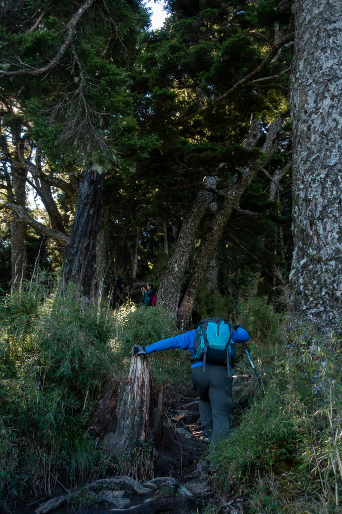 DSC09050.jpg DSC09050.jpg