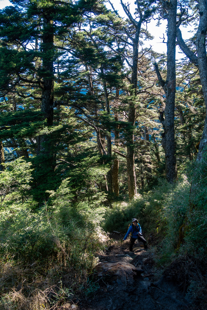 DSC09047.jpg DSC09047.jpg