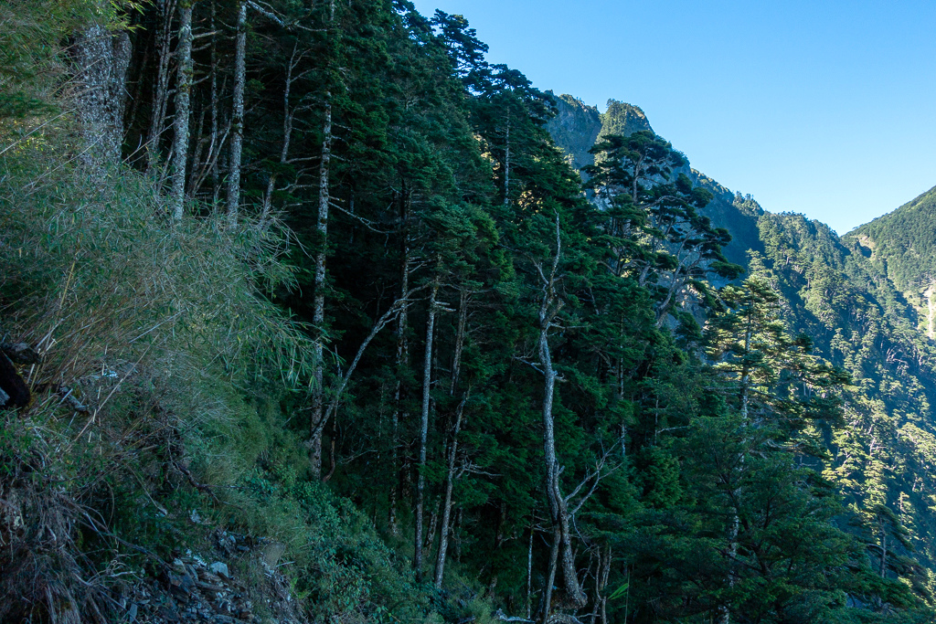 DSC09051.jpg DSC09051.jpg