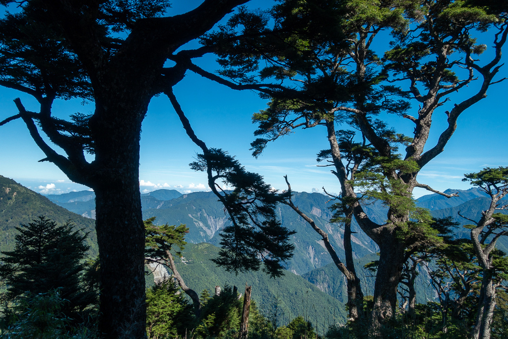 DSC09054.jpg DSC09054.jpg