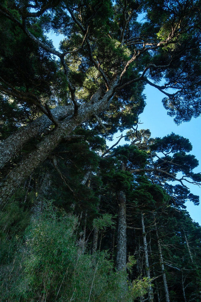 DSC09053.jpg DSC09053.jpg