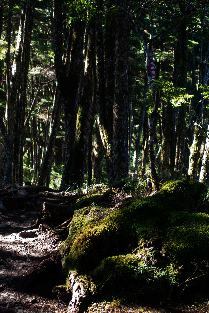 DSC09017.jpg DSC09017.jpg