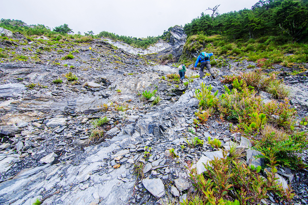 俊-DSC_2526.jpg 俊-DSC_2526.jpg