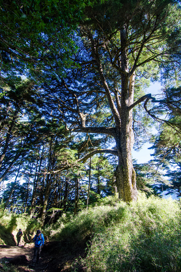 俊-DSC_2592.jpg 俊-DSC_2592.jpg