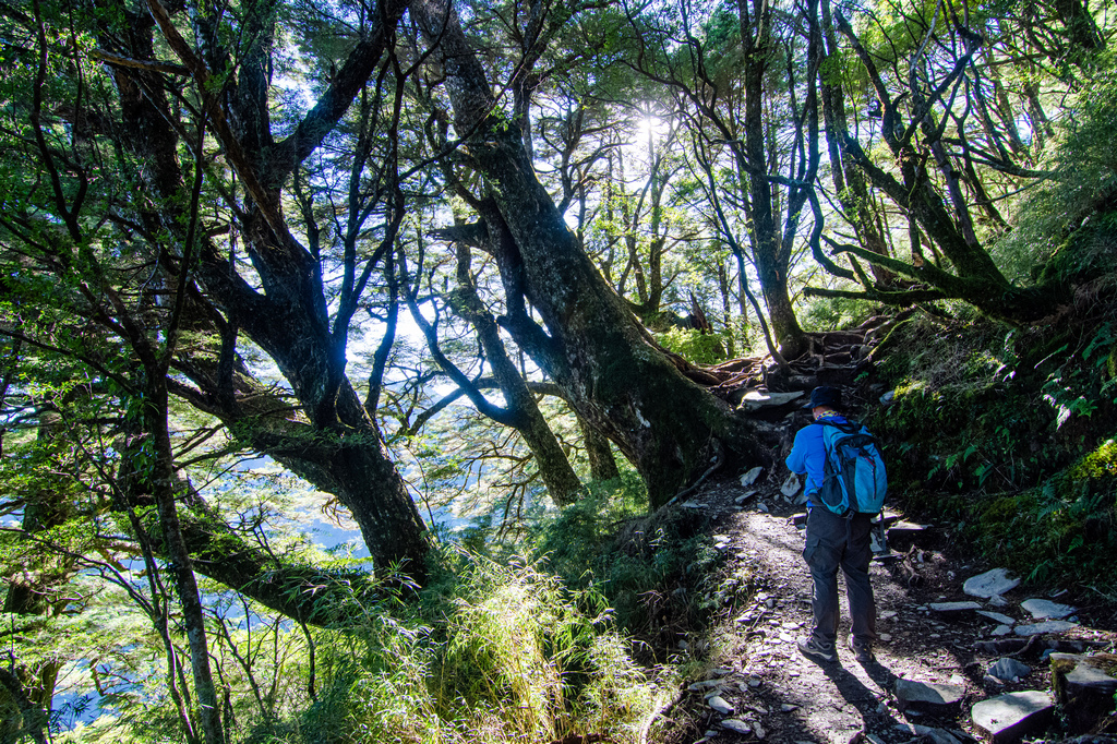 俊-DSC_2598.jpg 俊-DSC_2598.jpg