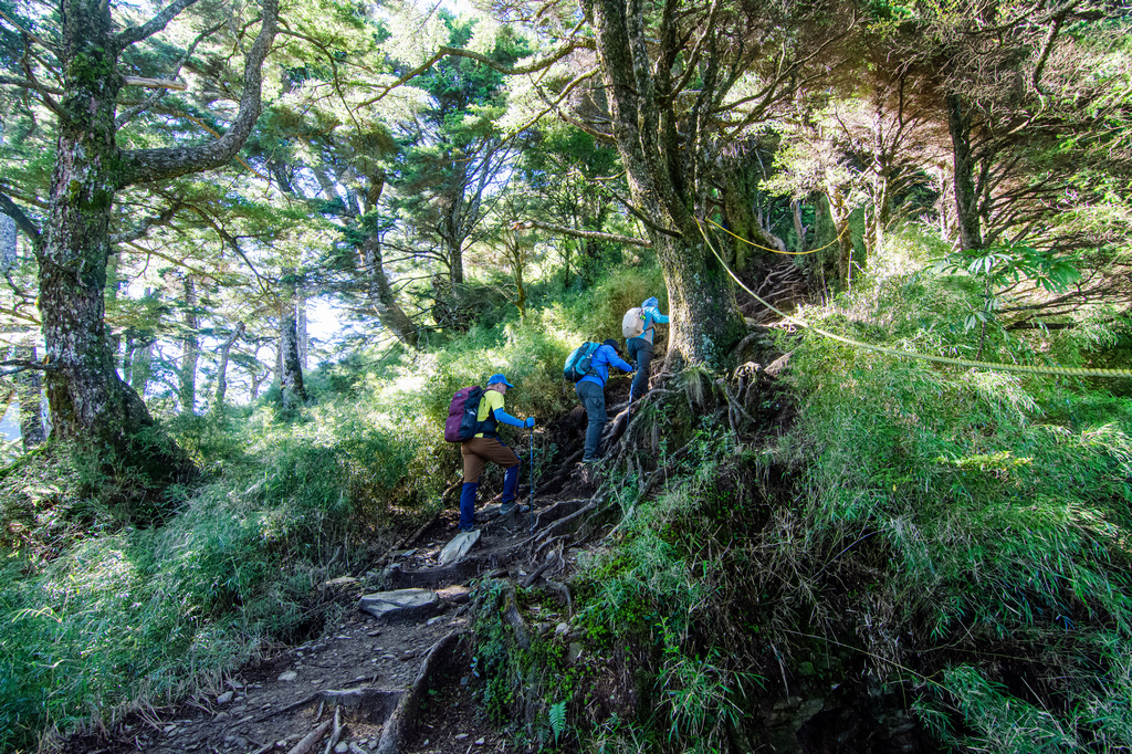 俊-DSC_2617.jpg 俊-DSC_2617.jpg