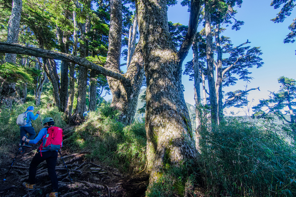 俊-DSC_2628.jpg 俊-DSC_2628.jpg