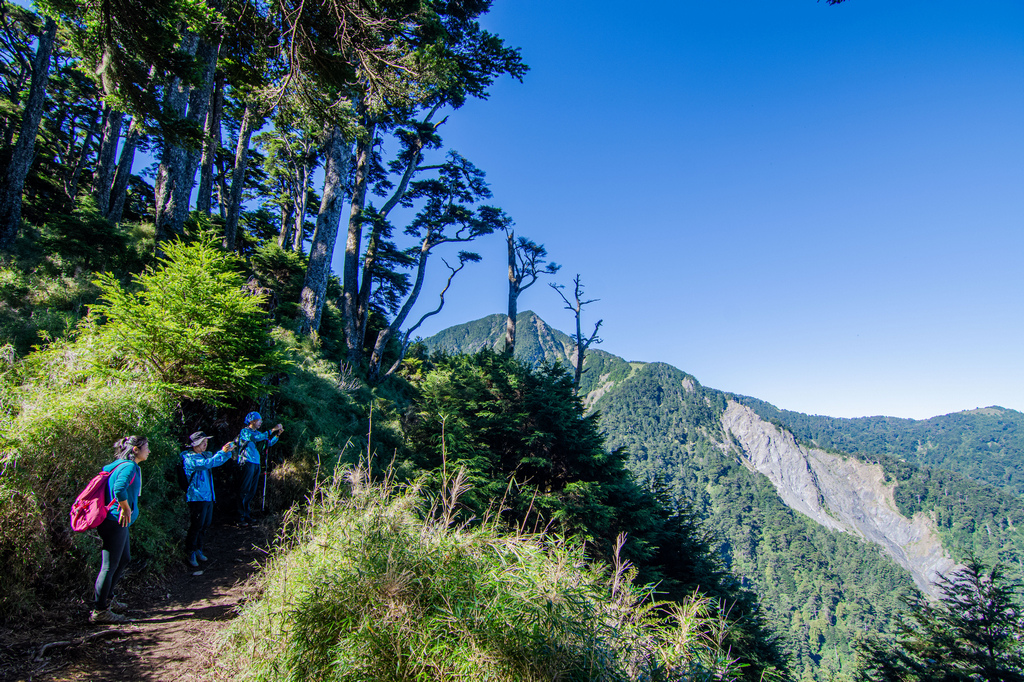 俊-DSC_2633.jpg 俊-DSC_2633.jpg