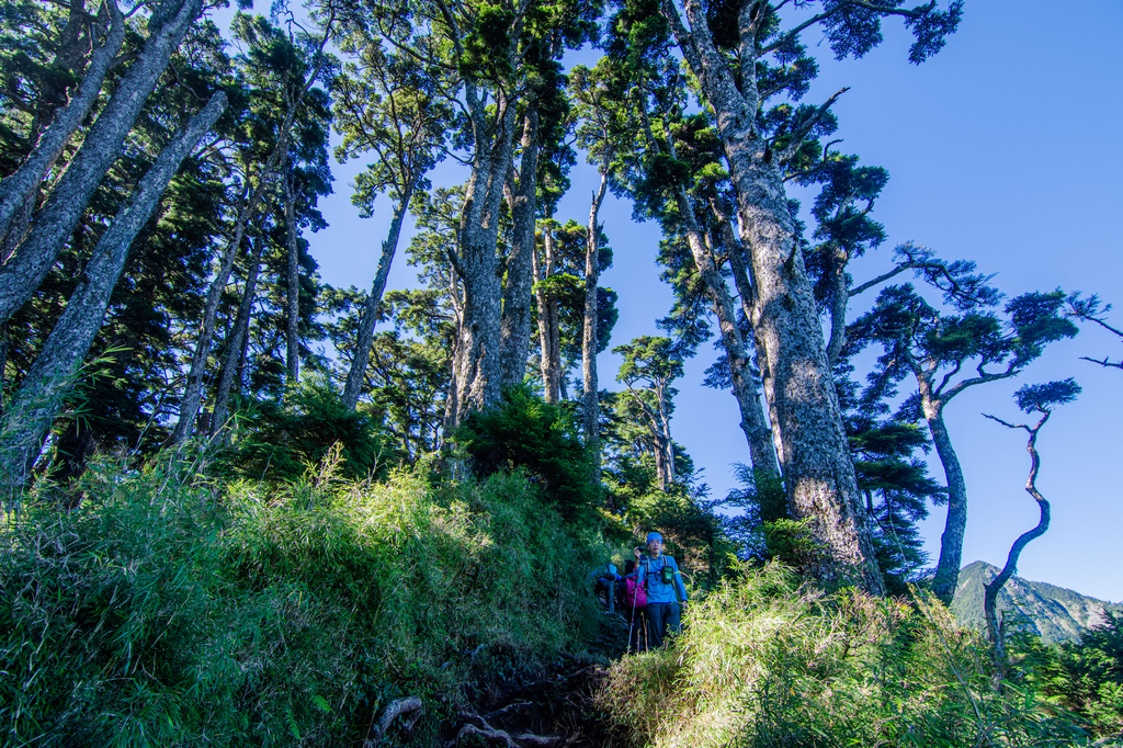 俊-DSC_2639.jpg 俊-DSC_2639.jpg