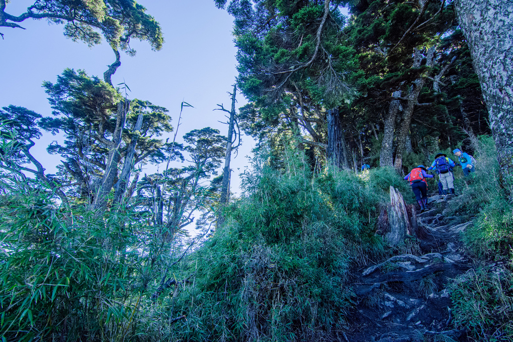 俊-DSC_2659.jpg 俊-DSC_2659.jpg