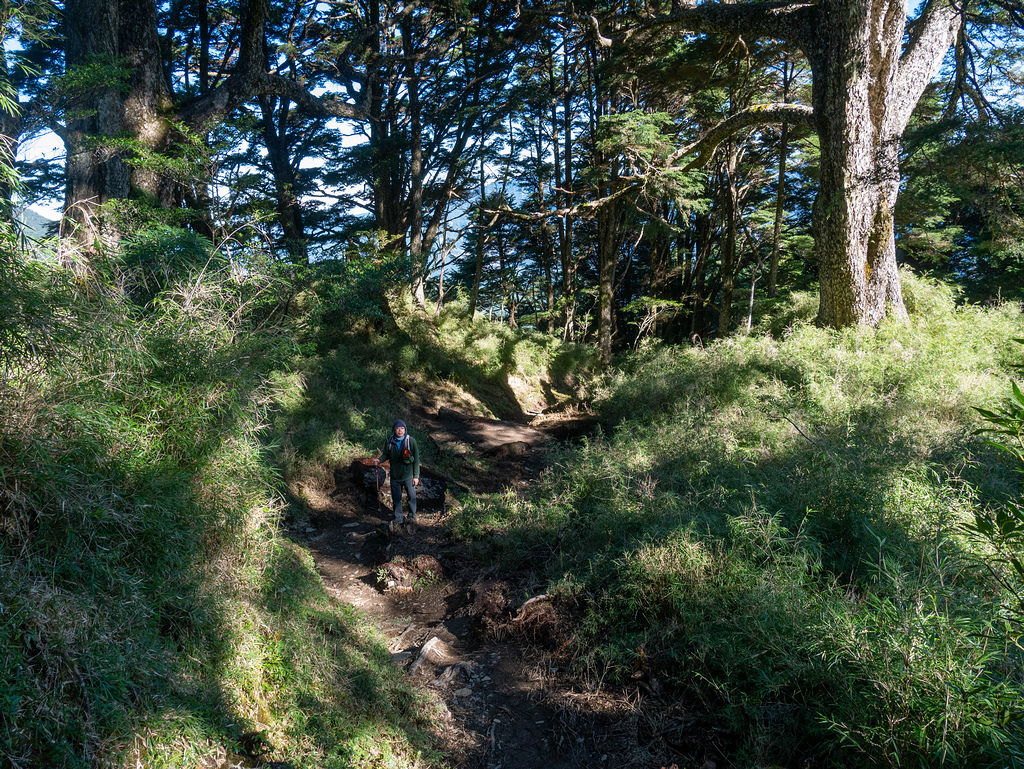 晸-P1180944.jpg 晸-P1180944.jpg