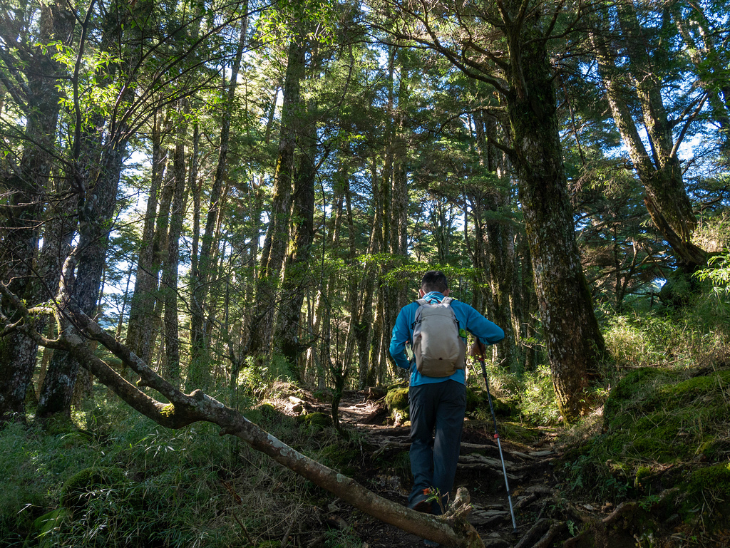 晸-P1180971.jpg 晸-P1180971.jpg