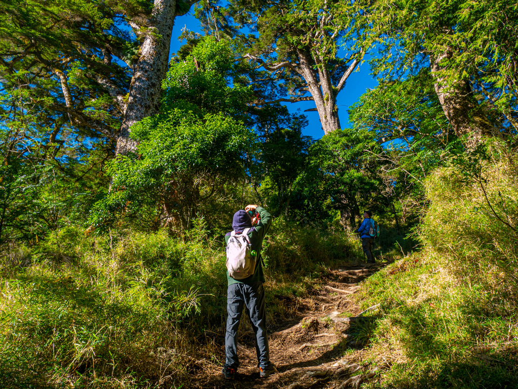 晸-P1180824.jpg 晸-P1180824.jpg