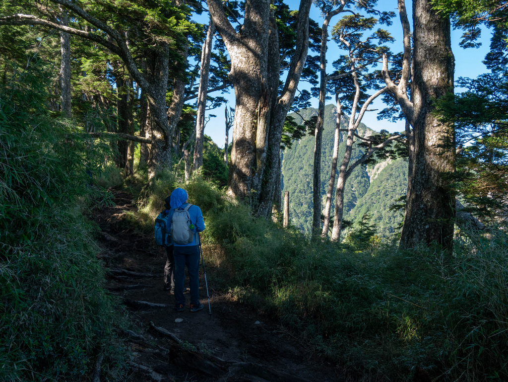 晸-P1180993.jpg 晸-P1180993.jpg