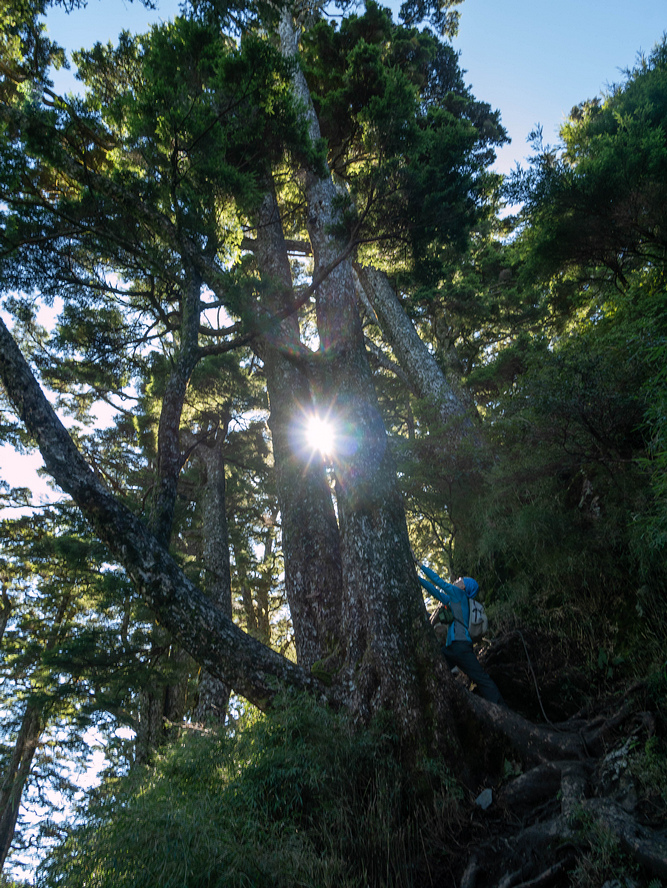 晸-P1190040.jpg 晸-P1190040.jpg