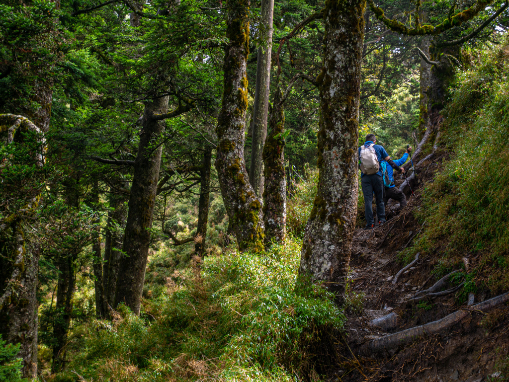 晸-P1180766.jpg 晸-P1180766.jpg